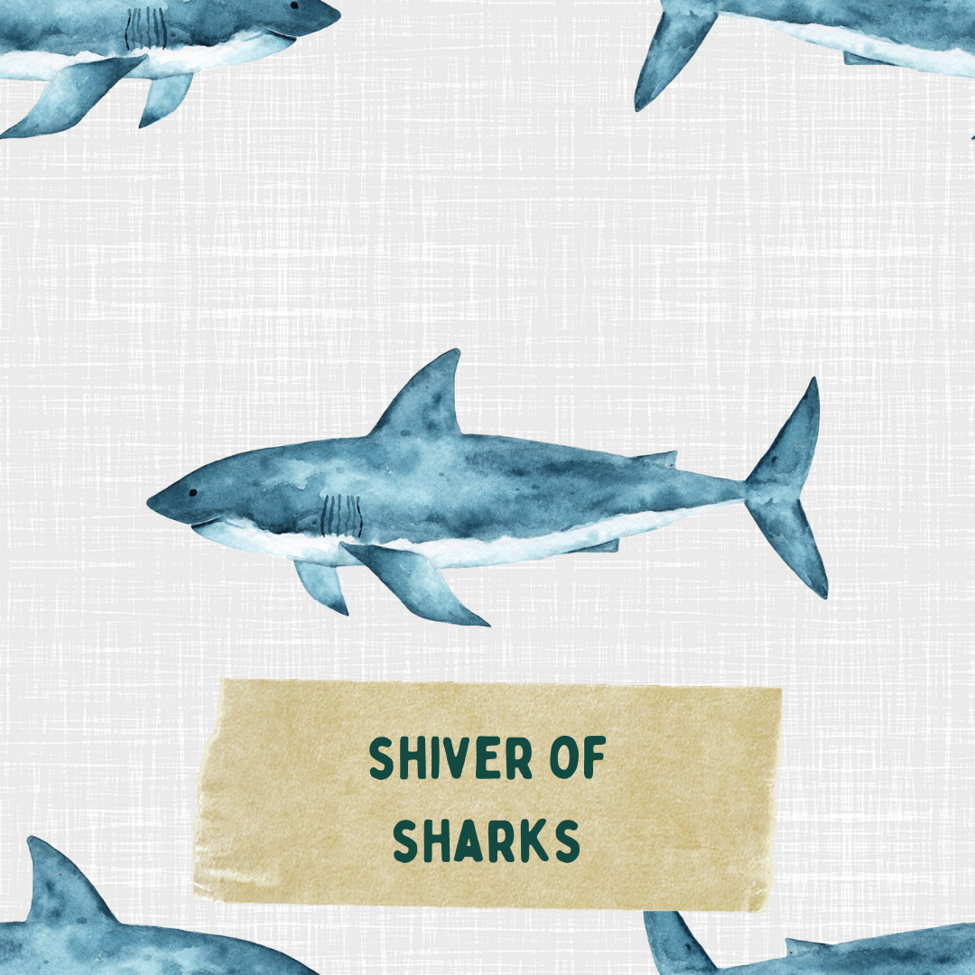 Shiver of Sharks - Pick Your Own